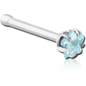 Nosovka hvězdička aquamarine