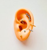 Silikonový model ucha
