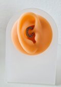 Silikonový model ucha se stojánkem