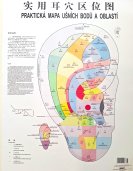 On-line seminář "Piercing podle čínské medicíny" - 26.1.2026