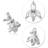 Lísteček s crystaly 1.2