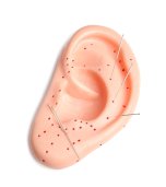 On-line seminář "Piercing podle čínské medicíny" - 26.1.2026